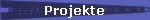 Projekte