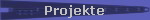 Projekte